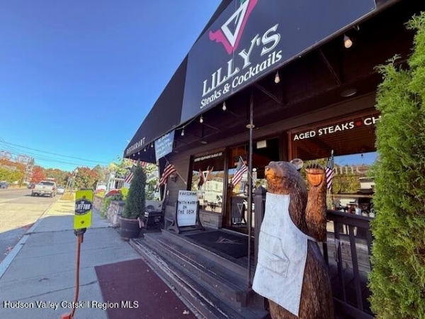 Listing Image #2 - Retail for sale at 5335 New York 23, Windham NY 12496