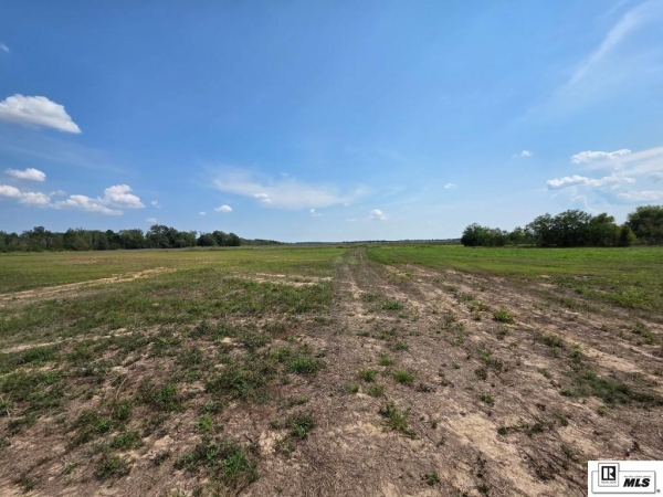 Listing Image #2 - Industrial for sale at 00 LOUISIANA HIGHWAY 183, Rayville LA 71269