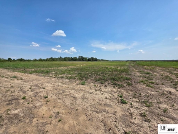 Listing Image #3 - Industrial for sale at 00 LOUISIANA HIGHWAY 183, Rayville LA 71269