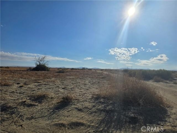Listing Image #2 - Others for sale at 8 E Vac/Vic, Lancaster CA 93535