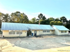Listing Image #2 - Industrial for sale at 56 Hickory Tree Lane, Daleville AL 36322