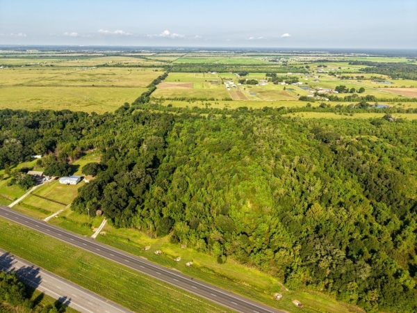 Listing Image #2 - Land for sale at TBD Hwy 165, Iowa LA 70647