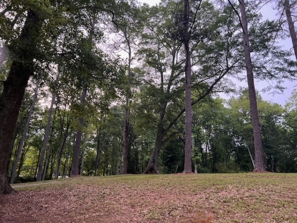 Listing Image #2 - Others for sale at 877 Bedwell Street, Heflin AL 36264