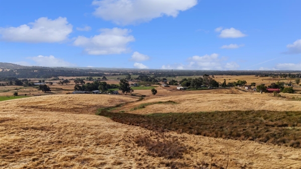Listing Image #3 - Land for sale at 6787 Mccourtney Rd, Lincoln CA 95648