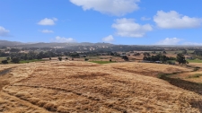 Listing Image #2 - Land for sale at 6787 Mccourtney Rd, Lincoln CA 95648