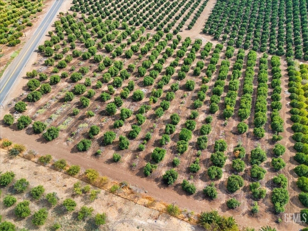 Listing Image #2 - Land for sale at 9444 Road 272, Porterville CA 93257