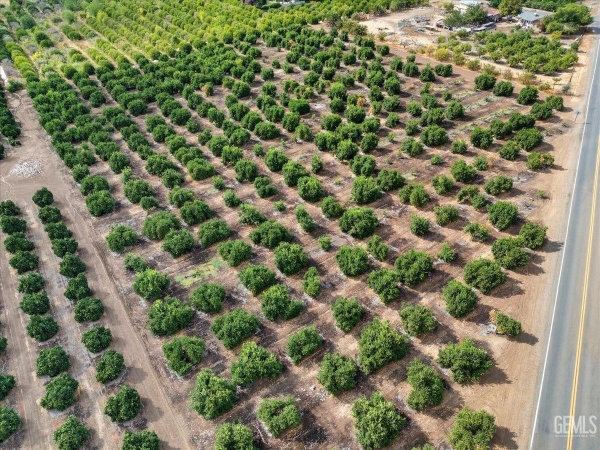 Listing Image #3 - Land for sale at 9444 Road 272, Porterville CA 93257