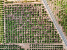 Land property for sale in Porterville, CA