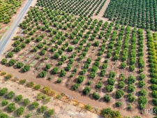 Listing Image #2 - Land for sale at 9444 Road 272, Porterville CA 93257