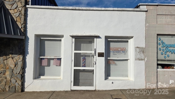 Listing Image #1 - Others for sale at 210 S Academy Street, Lincolnton NC 28092