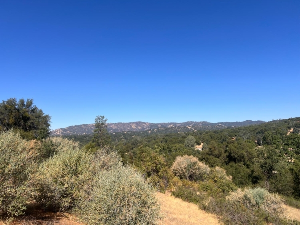 Listing Image #3 - Others for sale at 16 Lulniu Lane, Ahwahnee CA 93601