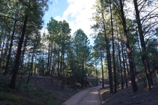Others property for sale in Pecos, NM