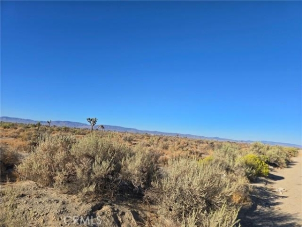 Listing Image #3 - Others for sale at 30 Avenue G, Lancaster CA 93535