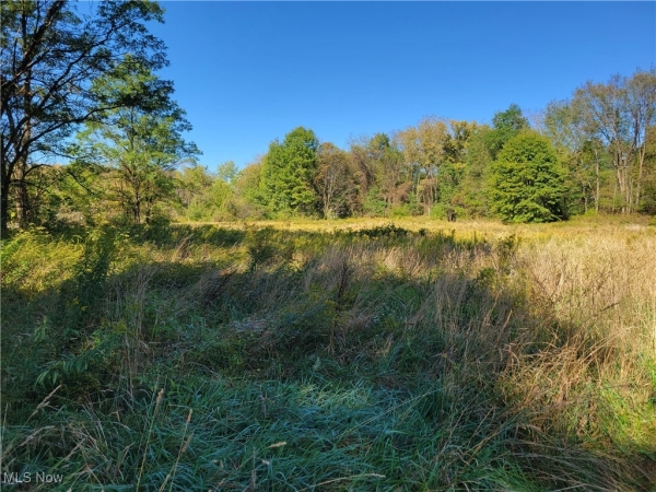 Listing Image #1 - Others for sale at 6944 State Route 14, Ravenna OH 44266