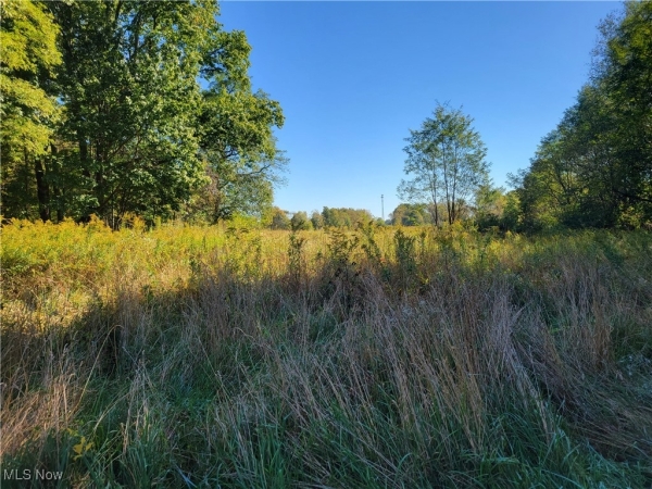 Listing Image #2 - Others for sale at 6944 State Route 14, Ravenna OH 44266