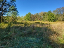 Others property for sale in Ravenna, OH