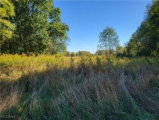 Listing Image #2 - Others for sale at 6944 State Route 14, Ravenna OH 44266