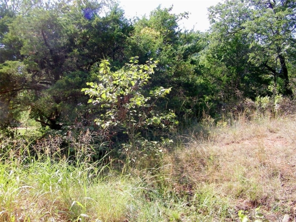 Listing Image #2 - Land for sale at 11651 Troutt Drive, Guthrie OK 73044