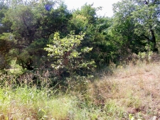 Listing Image #2 - Land for sale at 11651 Troutt Drive, Guthrie OK 73044