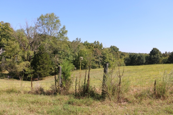 Listing Image #2 - Land for sale at Daisy Circle Rd, Cumberland Furnace TN 37051 Listing Image #2 - Land for sale at Daisy Circle Rd, Cumberland Furnace TN 37051