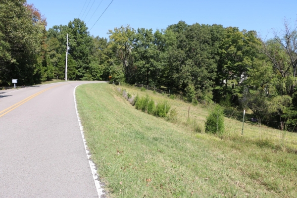 Listing Image #3 - Land for sale at Daisy Circle Rd, Cumberland Furnace TN 37051 Listing Image #3 - Land for sale at Daisy Circle Rd, Cumberland Furnace TN 37051