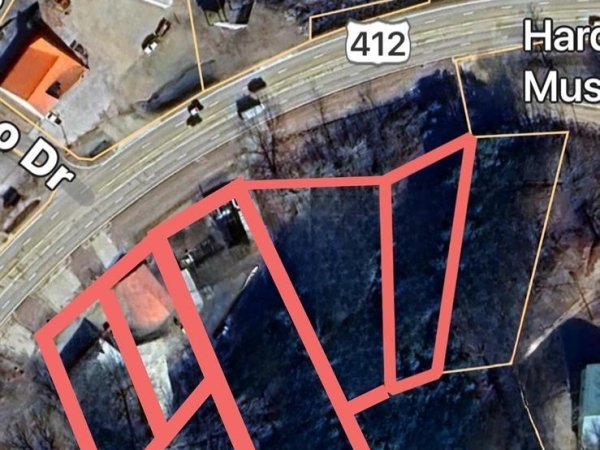 Listing Image #2 - Land for sale at 3844-3868 Highway 62 412, Hardy AR 72401