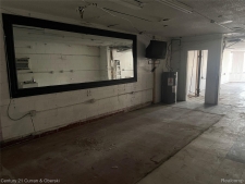 Listing Image #3 - Others for sale at 20359 Conant Street, Detroit MI 48234