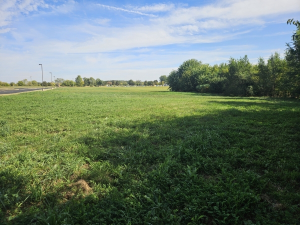 Listing Image #2 - Land for sale at 23700 Getson Ave, Plainfield IL 60544 Listing Image #2 - Land for sale at 23700 Getson Ave, Plainfield IL 60544