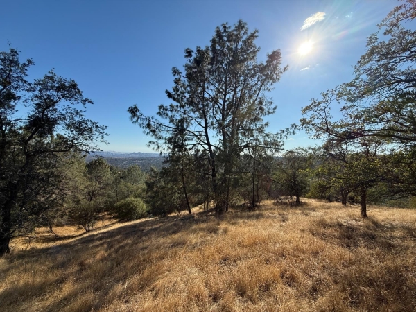 Listing Image #2 - Others for sale at Ward Mountain, O Neals CA 93645