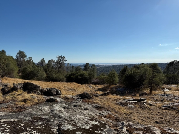 Listing Image #3 - Others for sale at Ward Mountain, O Neals CA 93645