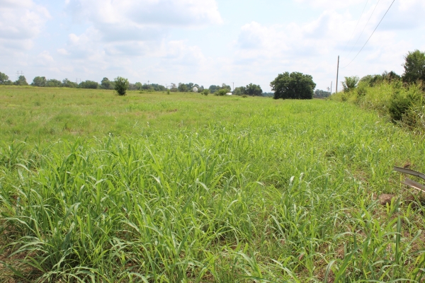 Listing Image #2 - Land for sale at lot 6 hummingbird, Stillwater OK 74074