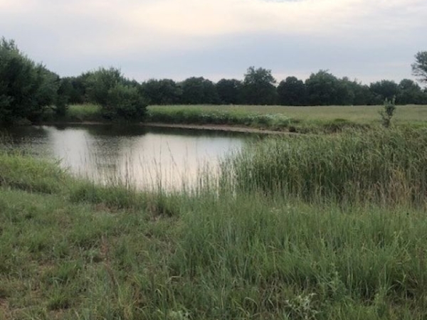 Listing Image #1 - Land for sale at Lot 2 Hummingbird Lane, Stillwater OK 74074