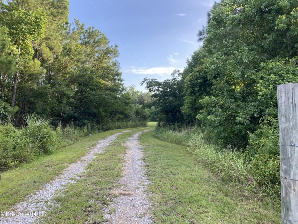 Listing Image #2 - Land for sale at 1441 Blue Meadow Road, Bay Saint Louis MS 39520