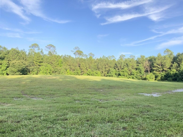 Listing Image #3 - Land for sale at 1441 Blue Meadow Road, Bay Saint Louis MS 39520