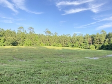 Listing Image #3 - Land for sale at 1441 Blue Meadow Road, Bay Saint Louis MS 39520