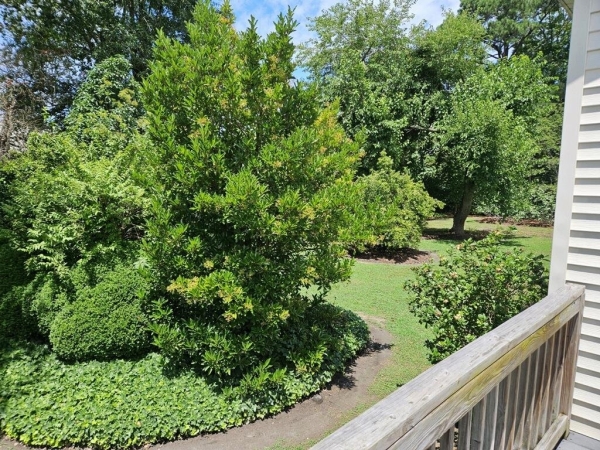 Listing Image #2 - Others for sale at 141 Market St., Onancock VA 23417