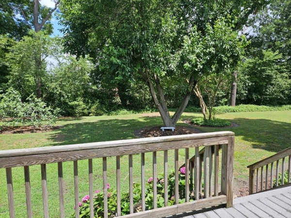 Listing Image #3 - Others for sale at 141 Market St., Onancock VA 23417