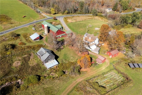 Listing Image #1 - Retail for sale at 3536 New Kingston Mountain Road, Roxbury NY 12474