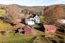 Listing Image #2 - Retail for sale at 3536 New Kingston Mountain Road, Roxbury NY 12474