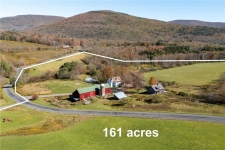 Listing Image #3 - Retail for sale at 3536 New Kingston Mountain Road, Roxbury NY 12474