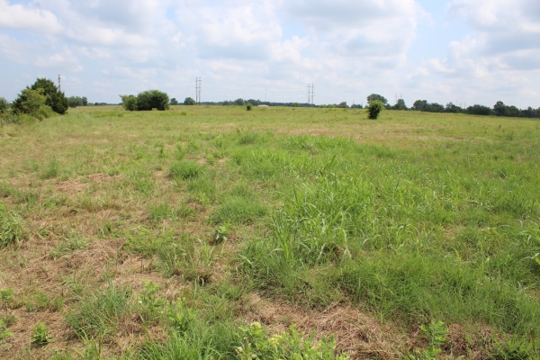 Listing Image #3 - Land for sale at lot 5 Hummingbird, Stillwater OK 74075