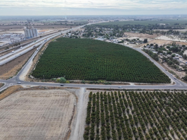 Listing Image #2 - Land for sale at 19.5 Acres On Bloss Ave, Delhi CA 95315