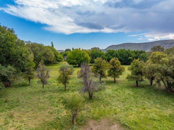 Listing Image #2 - Others for sale at 29224 U.S. Highway 70, Undisclosed NM 88343