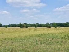 Listing Image #3 - Land for sale at 12053 S STATE HIGHWAY 34, Scurry TX 75158