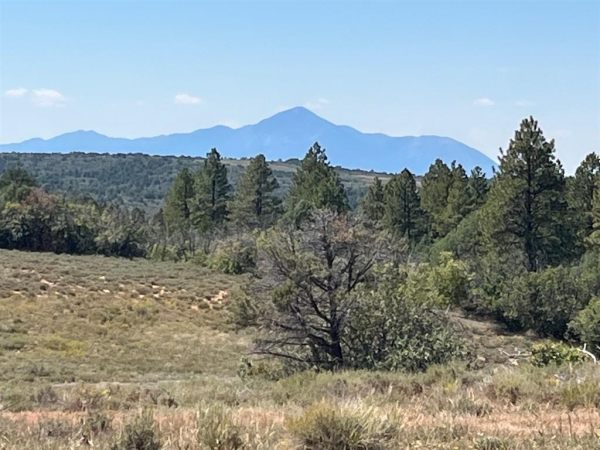 Listing Image #1 - Land for sale at TBD Fsr 259, Dolores CO 81323