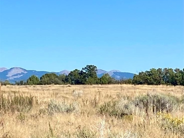 Listing Image #3 - Land for sale at TBD Fsr 259, Dolores CO 81323