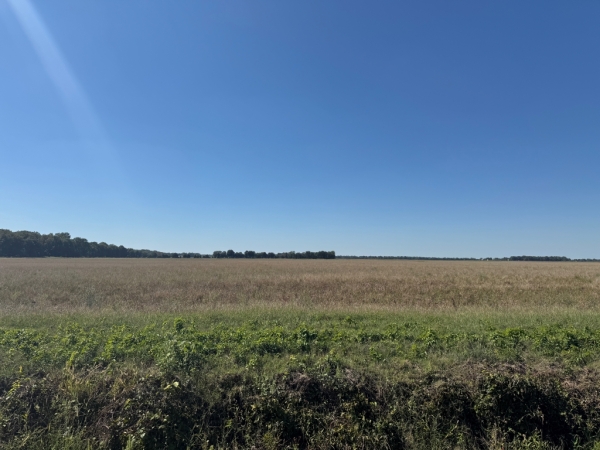 Listing Image #1 - Others for sale at 619 acres Flag Slough Lane, Weiner AR 72479 Listing Image #1 - Others for sale at 619 acres Flag Slough Lane, Weiner AR 72479