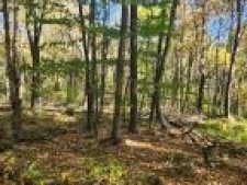 Listing Image #3 - Others for sale at Lots C1-C4 Natures Symphony Road, 1tt8qn6g6tkl PA 16655