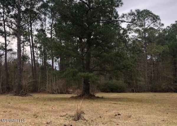 Listing Image #2 - Land for sale at 15654 Walter Smith Road, Gulfport MS 39503