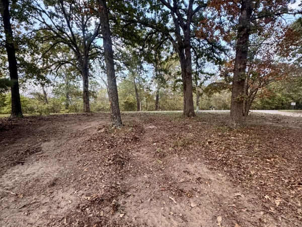 Listing Image #2 - Land for sale at 000 State Highway U, Mansfield MO 65704